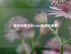 新浪彩票足彩18005预测与策略
