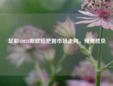 足彩18028期欧赔把握市场走向，预测胜负