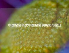 中国足彩历史中国足彩的历史与变迁