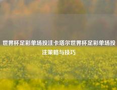 世界杯足彩单场投注卡塔尔世界杯足彩单场投注策略与技巧
