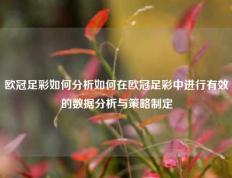 欧冠足彩如何分析如何在欧冠足彩中进行有效的数据分析与策略制定