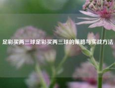 足彩买两三球足彩买两三球的策略与实战方法