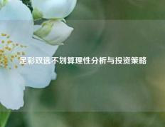 足彩双选不划算理性分析与投资策略