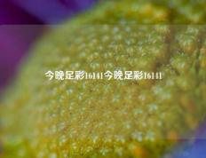今晚足彩16141今晚足彩16141