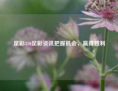 足彩310足彩资讯把握机会，赢得胜利