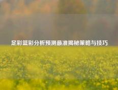 足彩篮彩分析预测最准揭秘策略与技巧