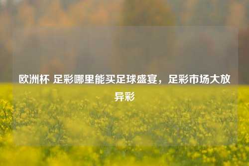 欧洲杯 足彩哪里能买足球盛宴，足彩市场大放异彩