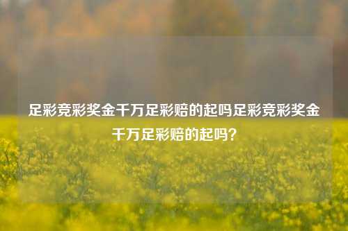 足彩竞彩奖金千万足彩赔的起吗足彩竞彩奖金千万足彩赔的起吗？