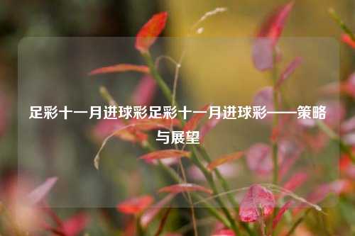 足彩十一月进球彩足彩十一月进球彩——策略与展望