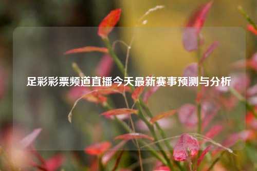 足彩彩票频道直播今天最新赛事预测与分析