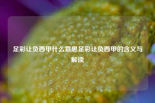 足彩让负西甲什么意思足彩让负西甲的含义与解读