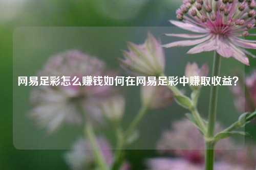 网易足彩怎么赚钱如何在网易足彩中赚取收益？