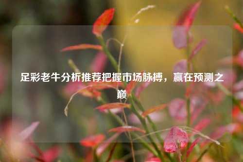 足彩老牛分析推荐把握市场脉搏，赢在预测之巅