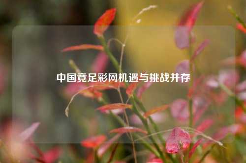 中国竟足彩网机遇与挑战并存