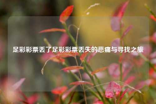足彩彩票丢了足彩彩票丢失的悲痛与寻找之旅