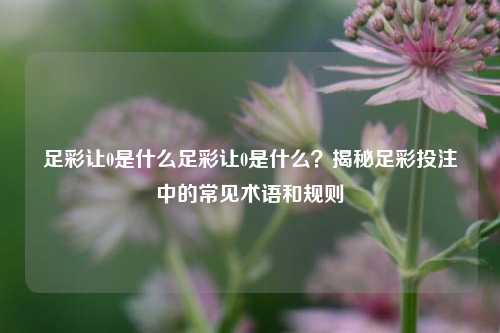 足彩让0是什么足彩让0是什么？揭秘足彩投注中的常见术语和规则