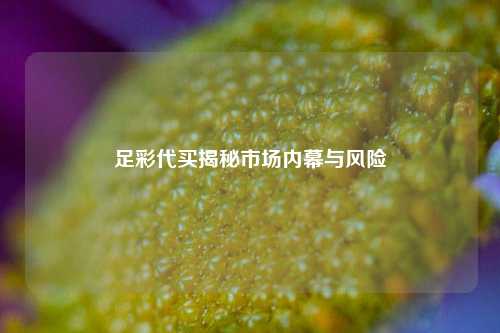 足彩代买揭秘市场内幕与风险