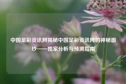 中国足彩资讯网揭秘中国足彩资讯网的神秘面纱——独家分析与预测指南