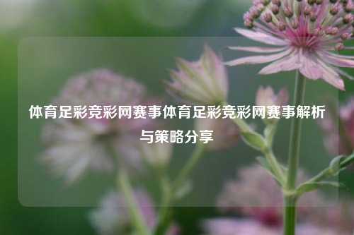 体育足彩竞彩网赛事体育足彩竞彩网赛事解析与策略分享