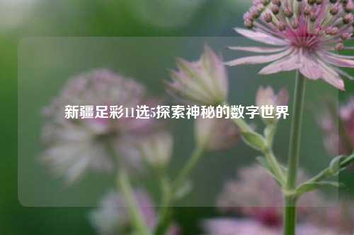 新疆足彩11选5探索神秘的数字世界