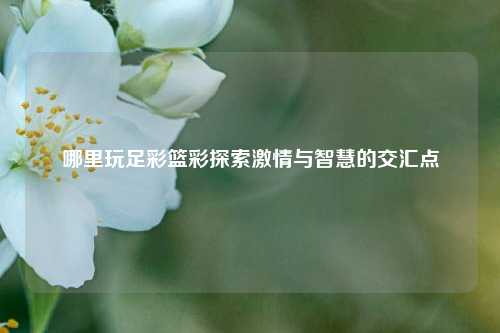 哪里玩足彩篮彩探索激情与智慧的交汇点
