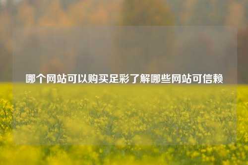 哪个网站可以购买足彩了解哪些网站可信赖