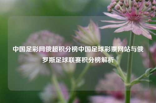 中国足彩网俄超积分榜中国足球彩票网站与俄罗斯足球联赛积分榜解析