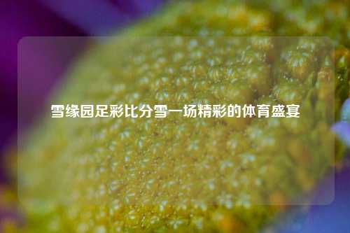雪缘园足彩比分雪一场精彩的体育盛宴