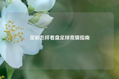 足彩怎样看盘足球竞猜指南
