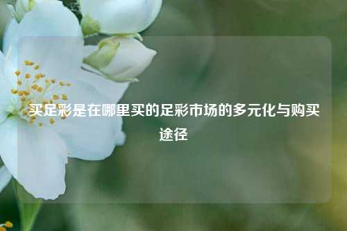 买足彩是在哪里买的足彩市场的多元化与购买途径