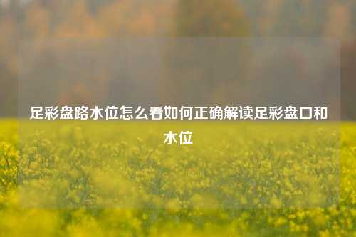 足彩盘路水位怎么看如何正确解读足彩盘口和水位