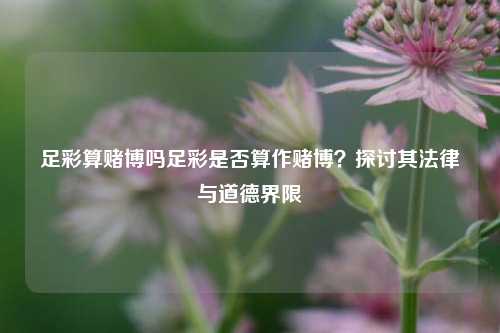 足彩算赌博吗足彩是否算作赌博？探讨其法律与道德界限