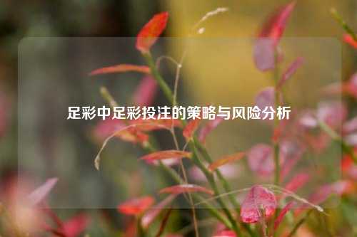 足彩中足彩投注的策略与风险分析