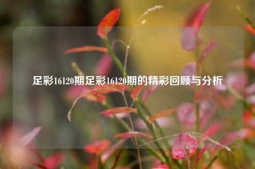 足彩16120期足彩16120期的精彩回顾与分析
