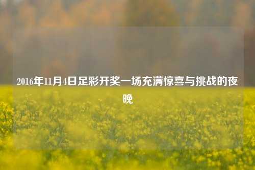 2016年11月4日足彩开奖一场充满惊喜与挑战的夜晚