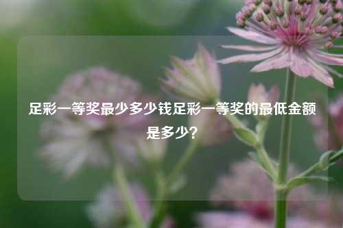 足彩一等奖最少多少钱足彩一等奖的最低金额是多少？