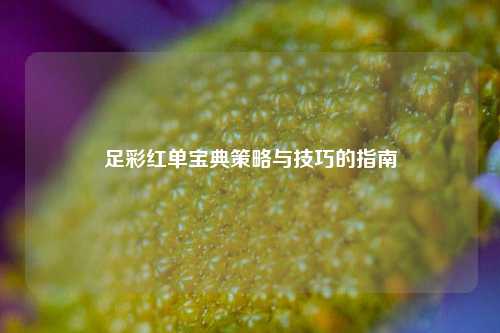 足彩红单宝典策略与技巧的指南