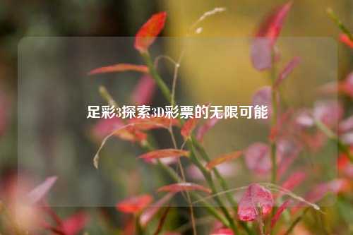 足彩3探索3D彩票的无限可能