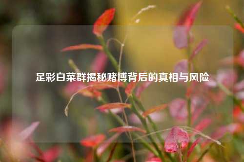 足彩白菜群揭秘赌博背后的真相与风险