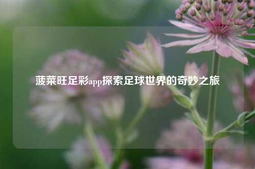 菠菜旺足彩app探索足球世界的奇妙之旅