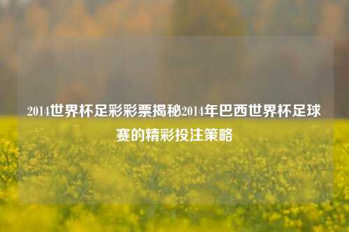 2014世界杯足彩彩票揭秘2014年巴西世界杯足球赛的精彩投注策略