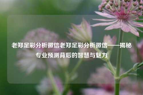老郑足彩分析微信老郑足彩分析微信——揭秘专业预测背后的智慧与魅力