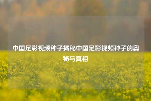 中国足彩视频种子揭秘中国足彩视频种子的奥秘与真相