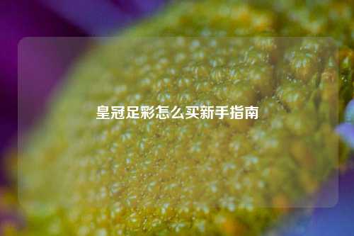 皇冠足彩怎么买新手指南