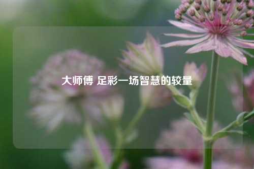 大师傅 足彩一场智慧的较量