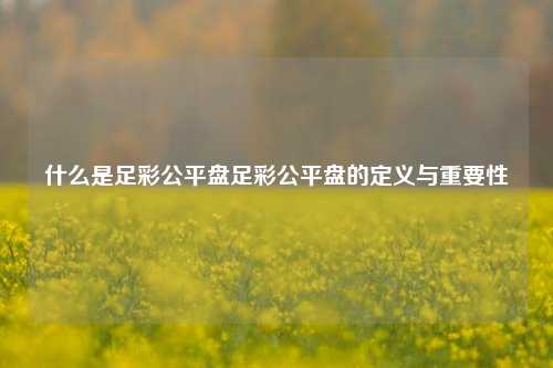 什么是足彩公平盘足彩公平盘的定义与重要性