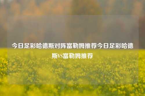 今日足彩哈德斯对阵富勒姆推荐今日足彩哈德斯VS富勒姆推荐