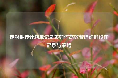 足彩推荐计划单记录表如何高效管理你的投注记录与策略