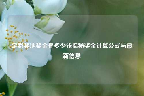 足彩奖池奖金是多少钱揭秘奖金计算公式与最新信息