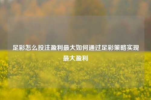 足彩怎么投注盈利最大如何通过足彩策略实现最大盈利